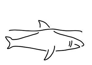 300x212 Fish Drawings Fine Art America