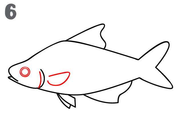 624x482 Fish Drawings Easy Fun