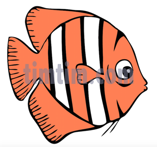 513x480 Free Drawing Of A Tiger Fish From The Category Fish