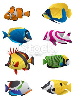 283x380 The Best Fish Drawings Ideas Fish Illustration