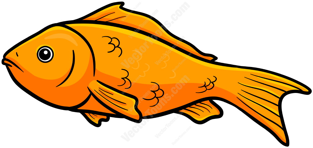 1024x484 Fish Clipart Orange Objects