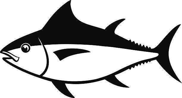 612x331 Graphics For Ahi Of Fish Graphics