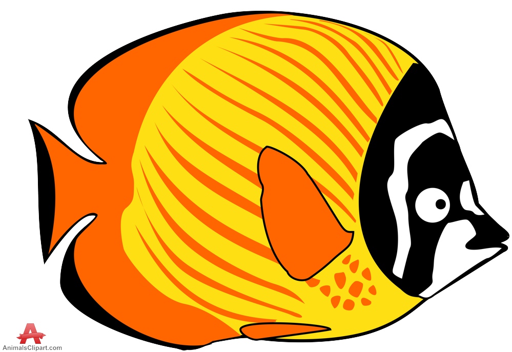 999x687 Fish Clipart 3
