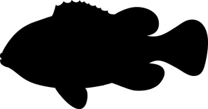 300x158 Free Free Fish Clip Art Image 0515 1004 1704 0524 Animal Clipart