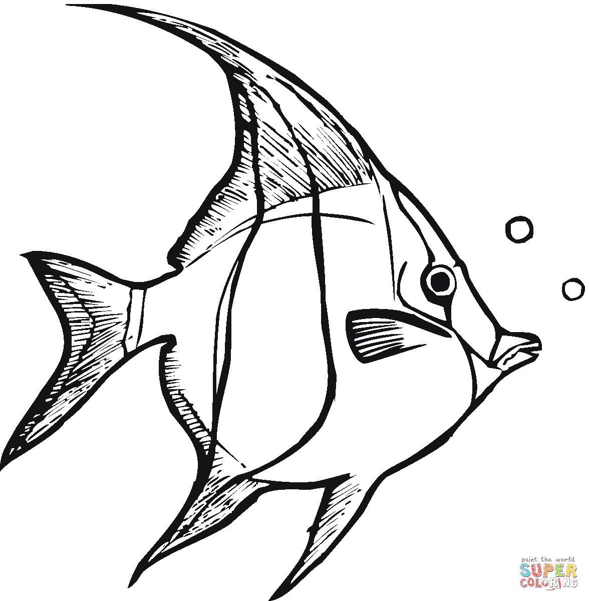 1176x1200 Line Drawings Angel Fish Coloring Page On Decoration Animal