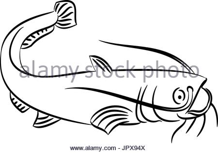 450x315 Line Drawing Of A Catfish On A White Background Stock Vector Art