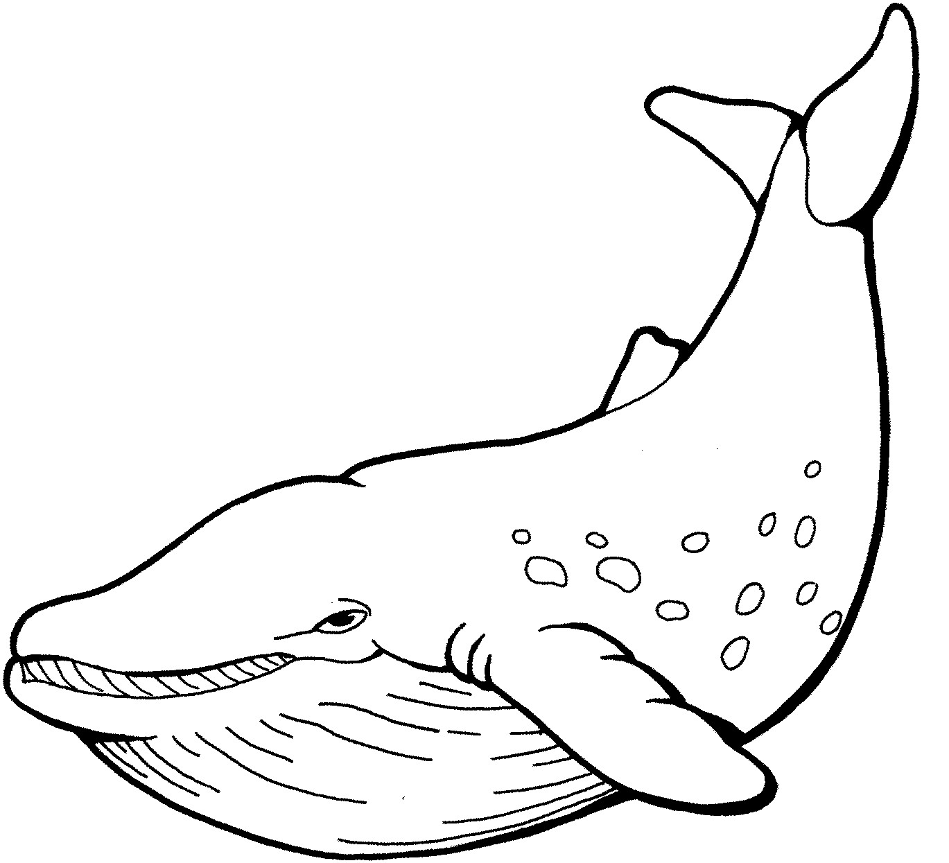 1369x1245 Whale Clipart Line Drawing