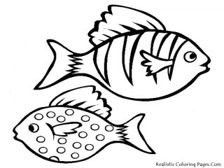 320x240 Best Free Coloring Pages Fish 25 With Additional Line Drawings