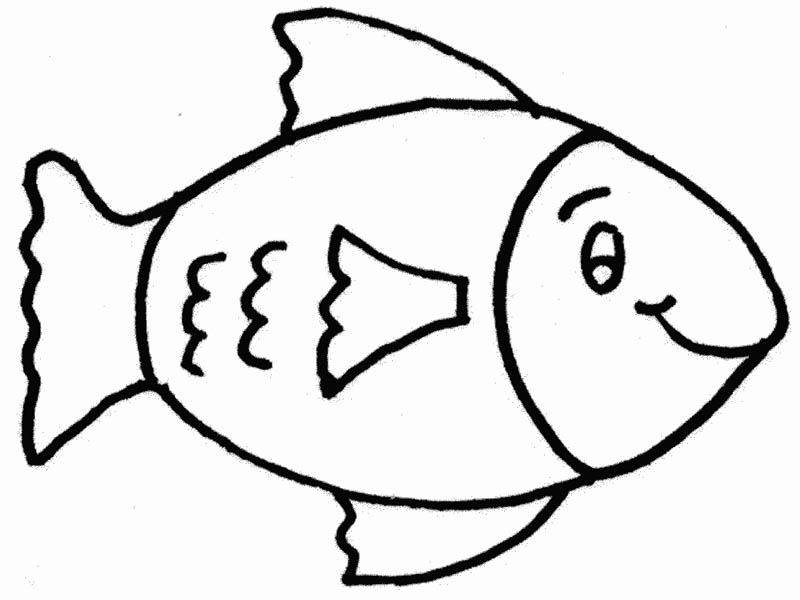 800x600 Drawing Of A Fish