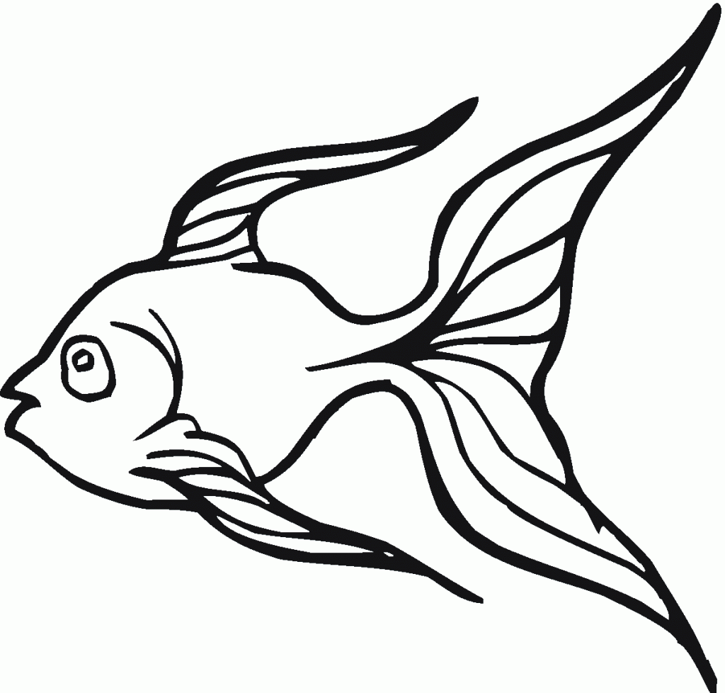 1024x978 Goldfish Clipart Bowl Drawing