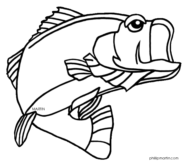 648x571 Bass Fish Coloring Pages Clipart Panda