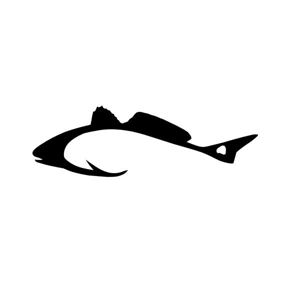 570x570 Top 80 Redfish Clip Art