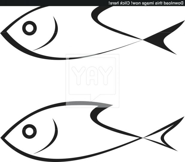 618x540 Download 70 Fascinating Fish Outline Drawing Rainbow Template