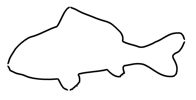 662x338 Simple Fish Outline Clipart