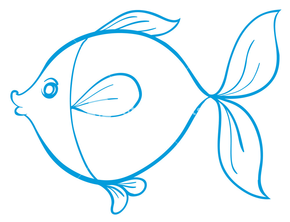 1000x765 Detailed Illustration Of A Fish Outline Royalty Free Stock Image