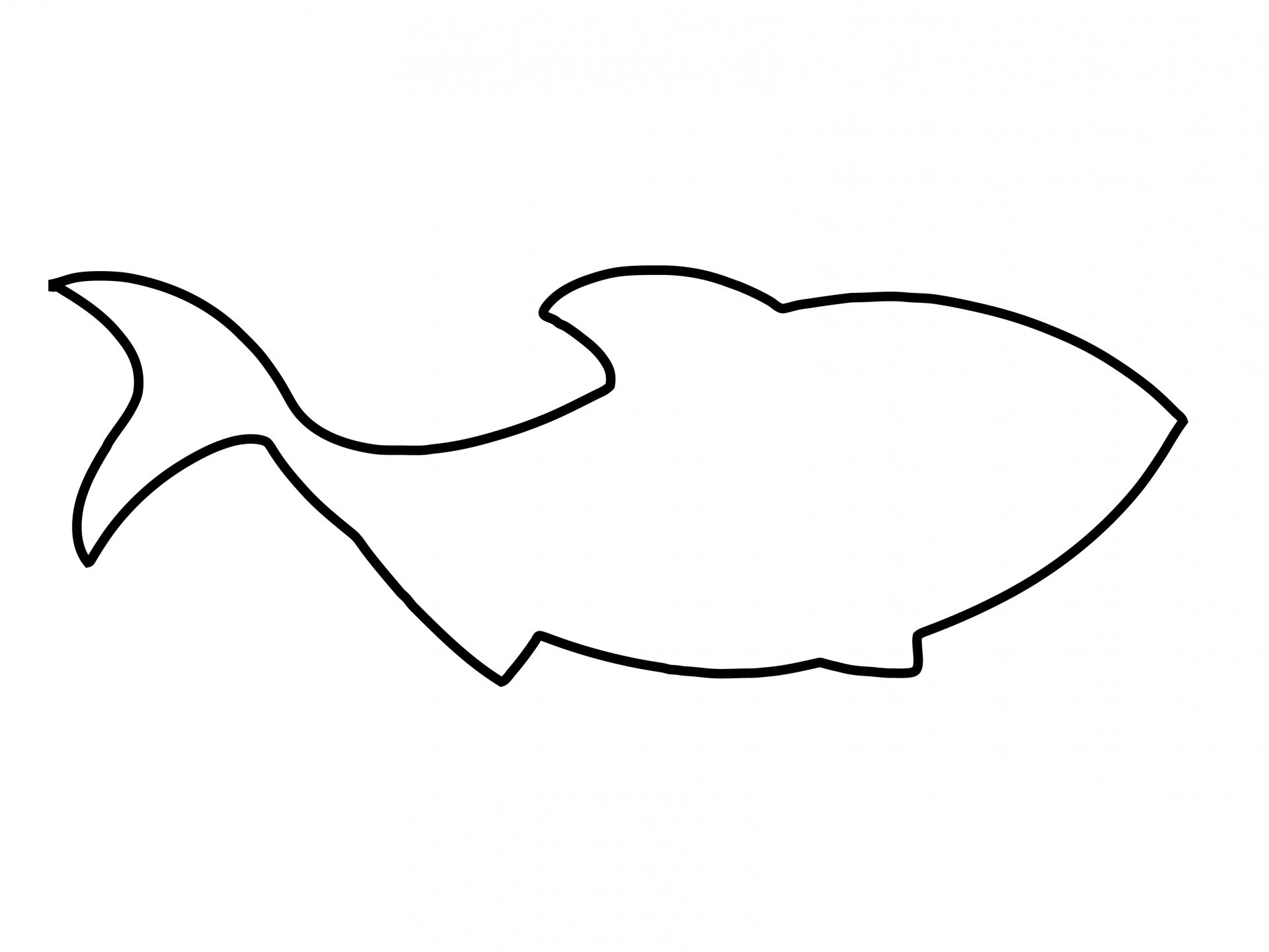 1920x1440 Fish Outline Image Images Hd Download