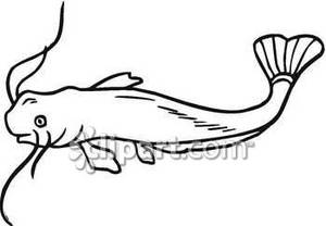 300x208 Catfish Clipart Black And White