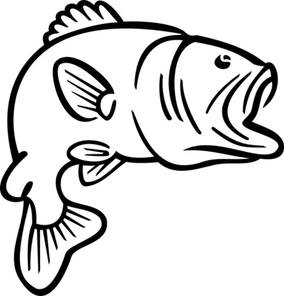 553x577 Bass Fish Clip Art