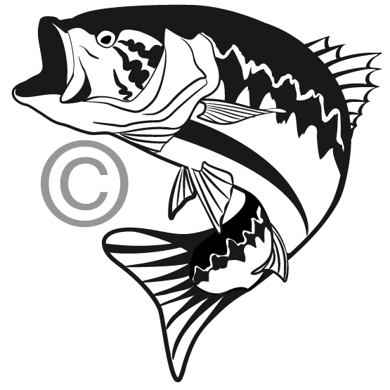 555x555 Free Bass Fishing Clipart Image
