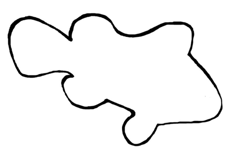 800x540 Octopus Outline