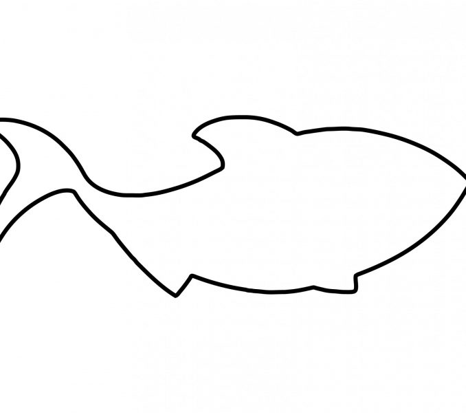 678x600 Free Printable Outline Of Fish 89 About Remodel Gallery Coloring