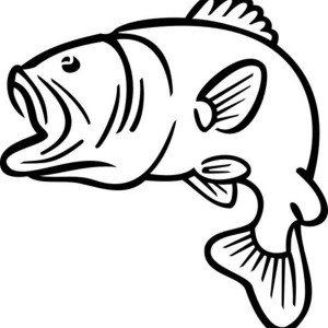 Fish Outline Images
