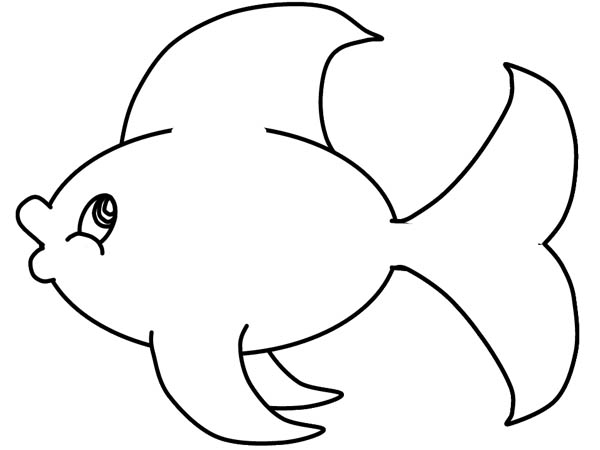 600x450 Fish Outline
