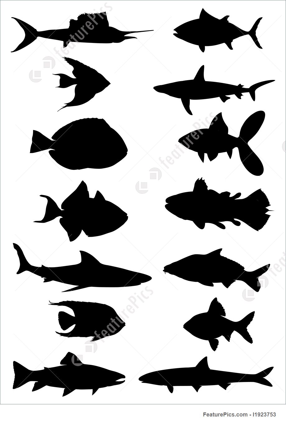 919x1360 Silhouettes And Outlines Fish Silhouettes