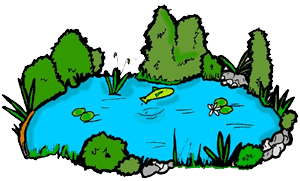 300x181 Fish Pond Clipart Panda