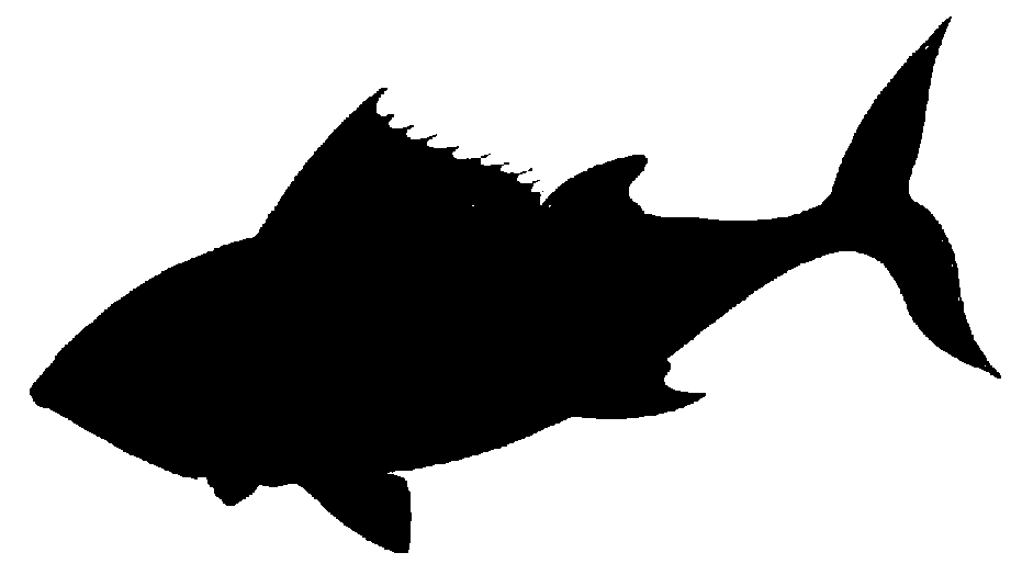 921x514 Fish Silhouette Clip Art