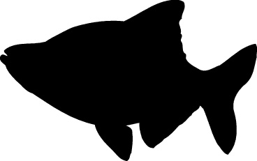 368x231 Fish Silhouette Clipart