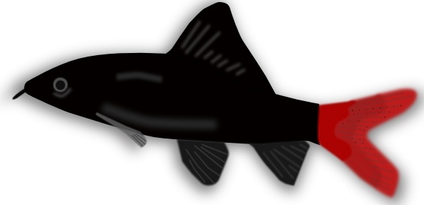 600x290 Fish Silhouette Free Vector Download (6,201 Free Vector)