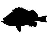 170x136 Best Fish Silhouette Ideas Deep Sea Vbs