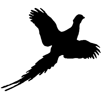 438x438 Pheasant Clip Art