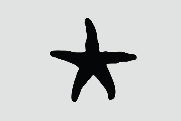 600x400 Starfish Silhouette 9 Fish Silhouettes Vector Ai Illustrator