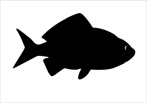 501x352 Big Fish Silhouette Graphics Silhouette Graphics
