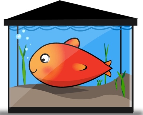 487x393 Free Vector Gold Fish Tank Free Vector In Adobe Illustrator Ai