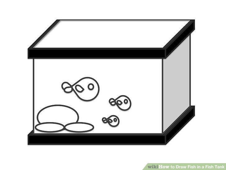 728x546 How To Draw Fish In A Fish Tank 7 Steps (With Pictures)