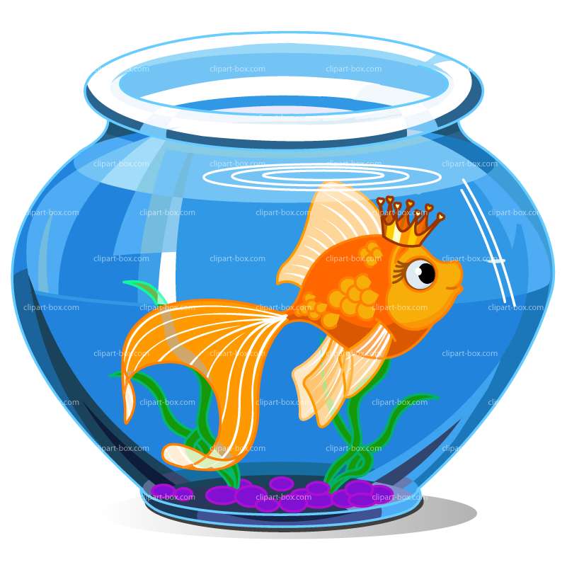 801x801 Fish Bowl Clipart Cute