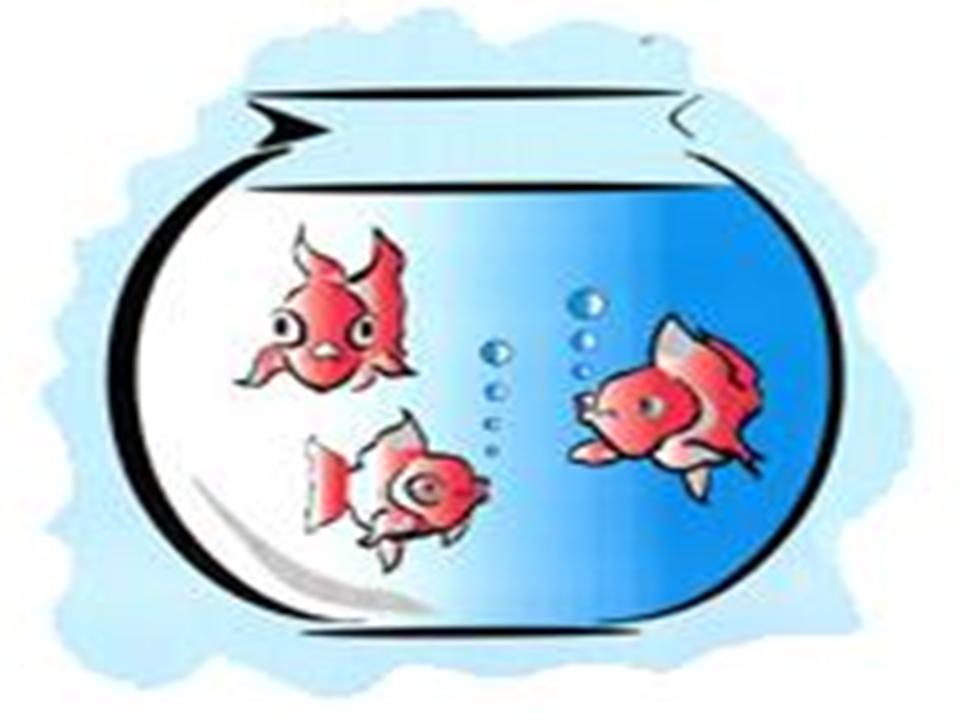 960x720 Fish Bowl Clip Art Clipart 2