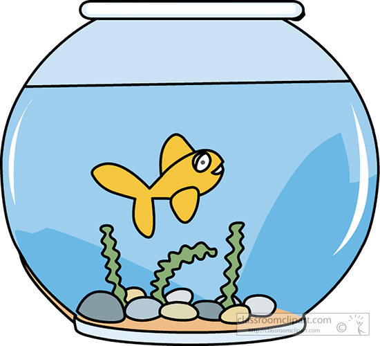 550x500 Search Results For Fish Bowl