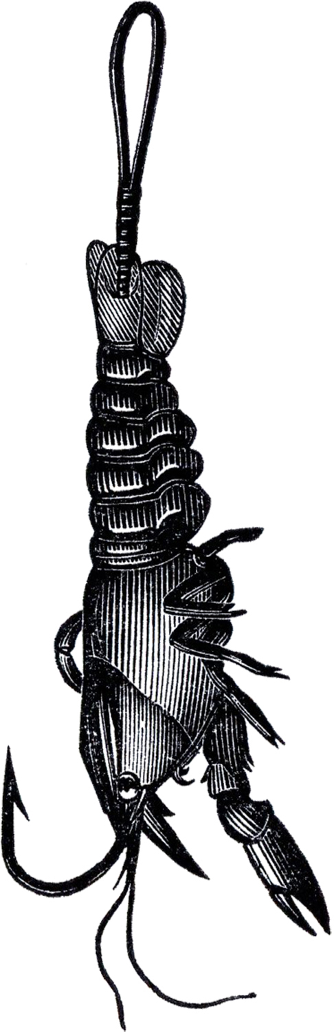 486x1500 Vintage Fishing Lures Clip Art