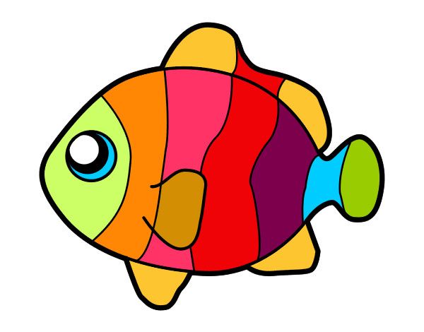 600x470 51 Best Fish And Fishing Images Fish, Diy And Drawing