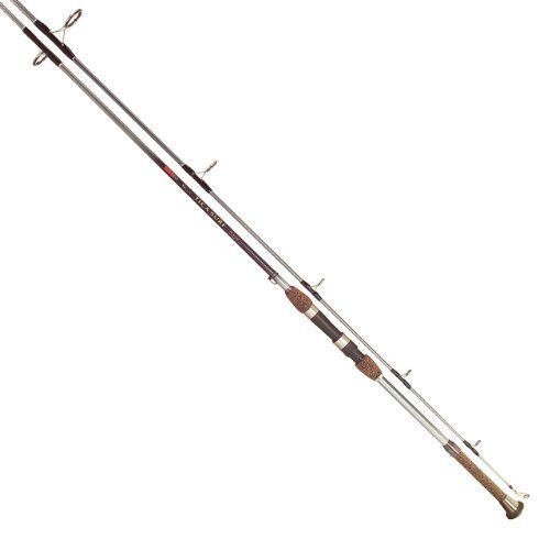 500x500 Tica Spinning Fishing Rods Ebay