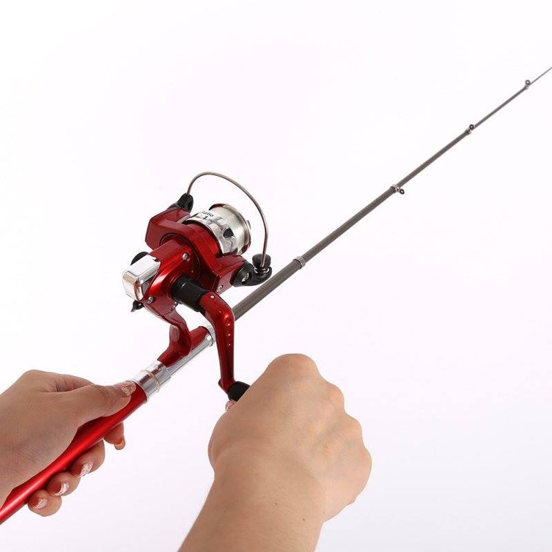 800x800 Buy Online Mini Aluminum Pocket Pen Fishing Rod Pole