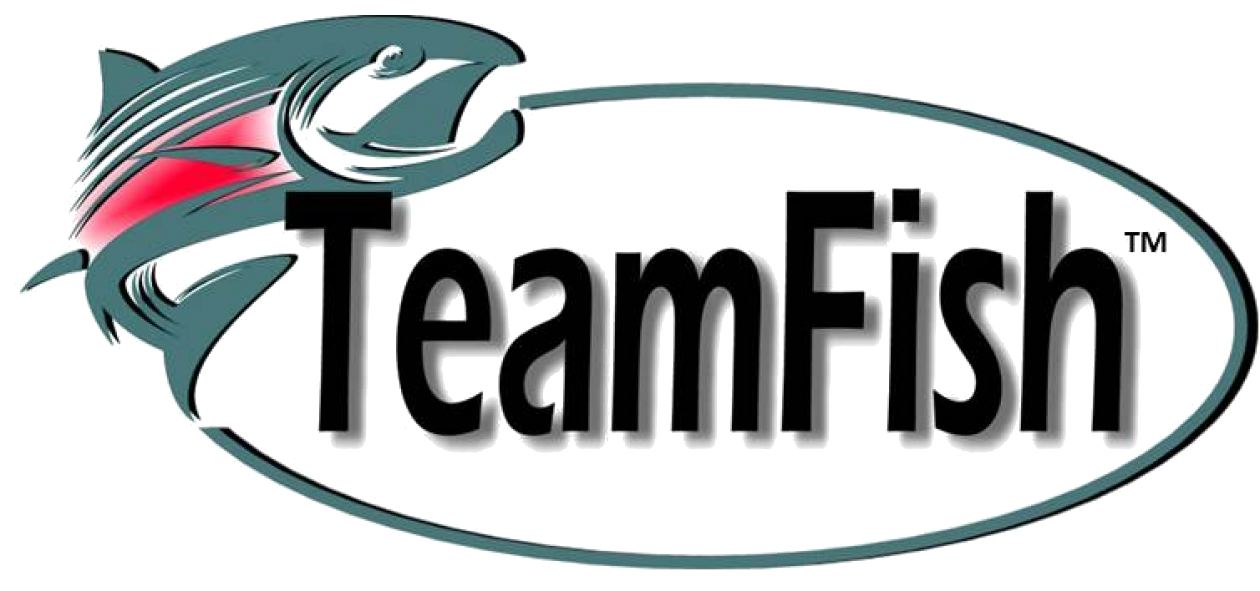 1260x591 Kayak Rod Holder Kayak Fishing Accessoriesteam Fish Cast Mate