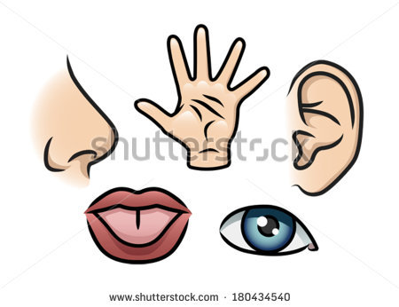 450x346 Five Senses Clip Art