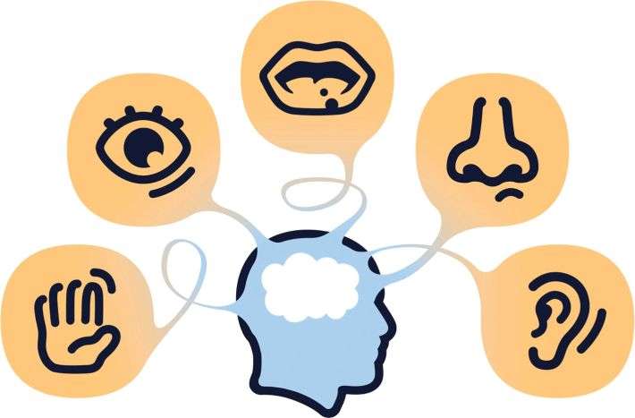 710x467 Five Senses And The Bazaar New Business Age