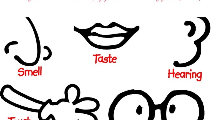 720x400 Glance Clipart Sense Sight