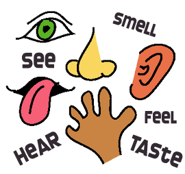 Five Senses Clipart | Free download on ClipArtMag